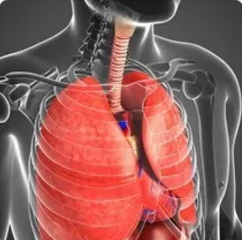 �ۉm����������������